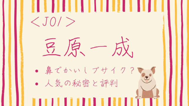 画像 豆原一成は鼻でかいしブサイク 人気の秘密と評判がヤバイ ゆこのゆこスポット