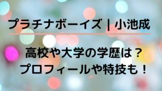 小池成ブログカード