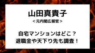 山田真貴子内閣広報官の自宅マンションはどこ?