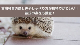 古川琴音の顔と声やしゃべり方が独特でかわいい！彼氏の存在も調査！