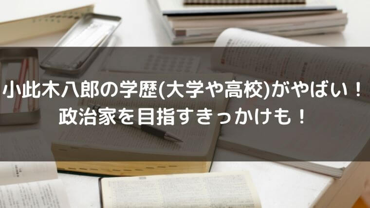 小此木八郎の学歴(大学や高校)がやばい！政治家を目指すきっかけも！