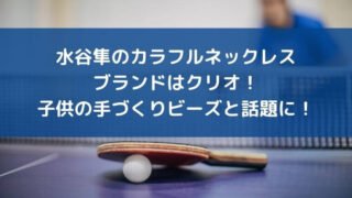 水谷隼のカラフルネックレスのブランドはクリオ!子供の手づくりビーズと話題