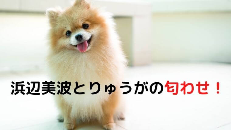 浜辺美波とりゅうがの匂わせを調査！彼氏との馴れ初めはじんじん！