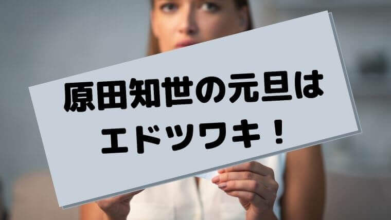 原田知世の元旦那はエドツワキ 再婚願望なく隠居生活 ゆこのゆこスポット