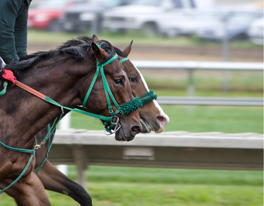 日本の競馬：伝統と技術の融合