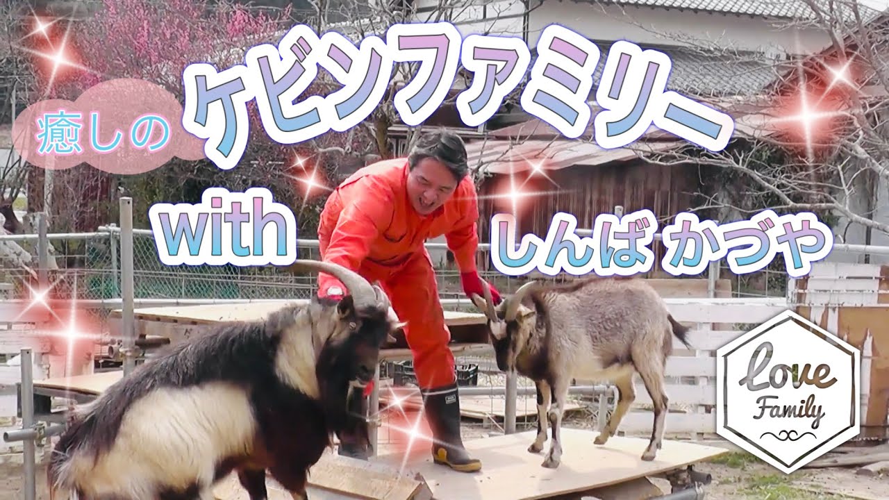 榛葉賀津也はヤギを飼育中！SNSが可愛い？プロレス好きの噂も調査